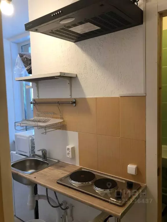 Студия Санкт-Петербург просп. Просвещения, 43 (15.0 м) - Фото 1