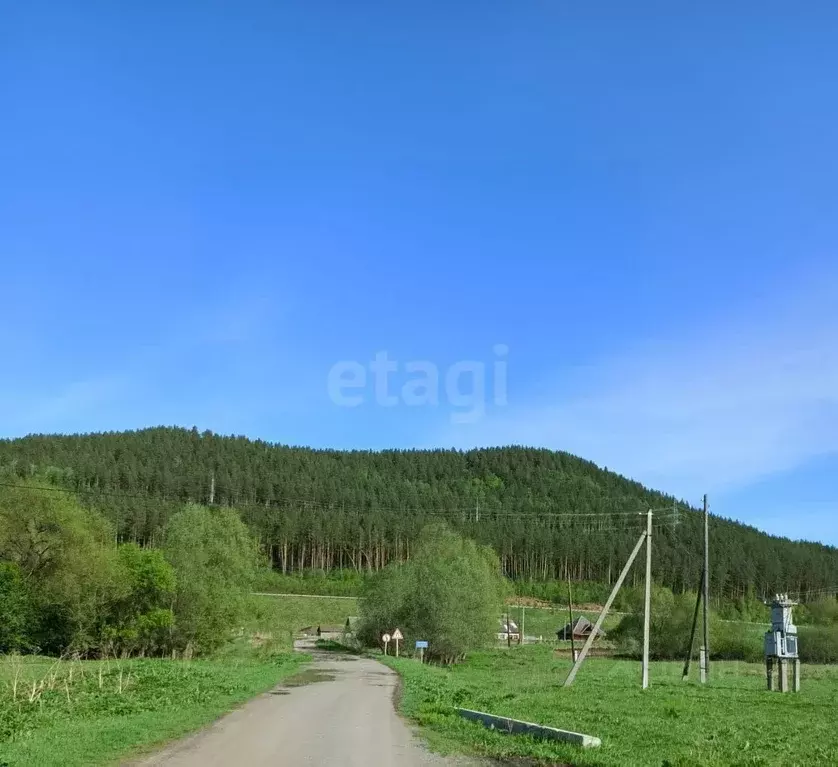 Участок в Алтайский край, Алтайский район, с. Нижнекаянча ул. ... - Фото 1