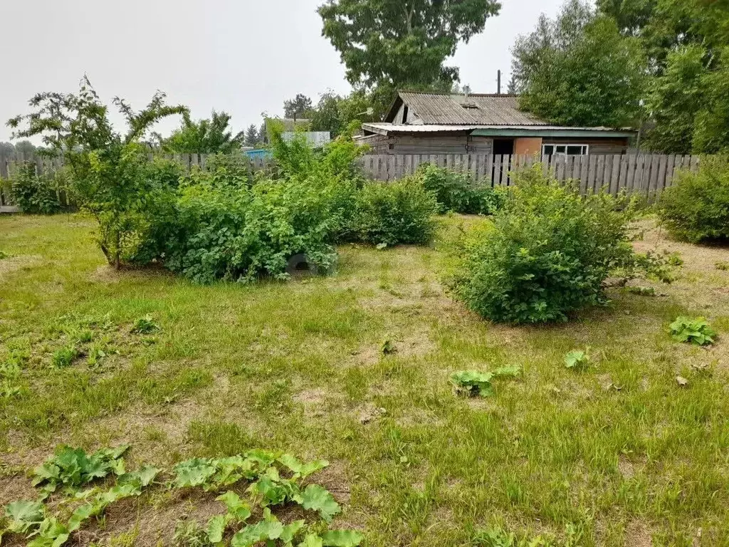 Дом в Амурская область, Ивановский муниципальный округ, с. Березовка ... - Фото 1