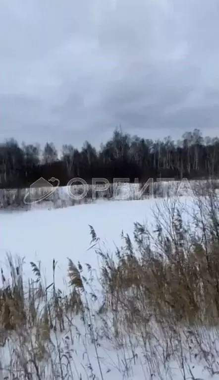 Участок в Тюменская область, Нижнетавдинский район, с. Велижаны ... - Фото 0