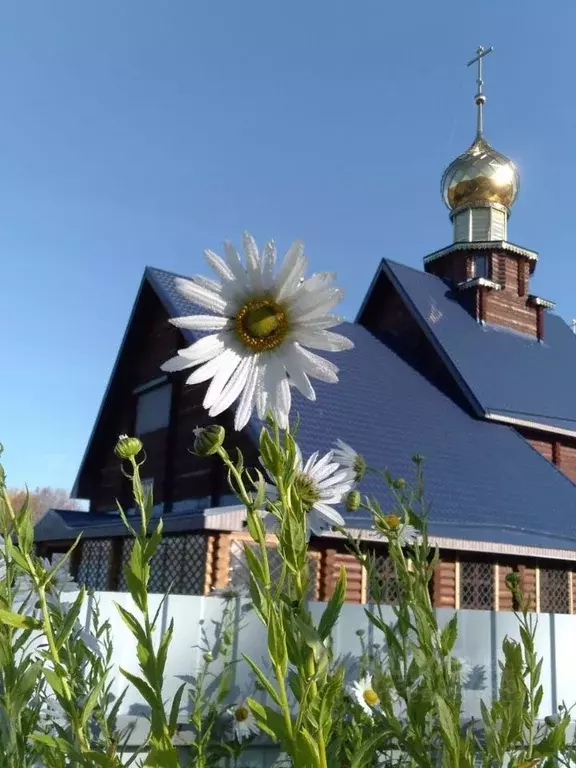 Участок в Владимирская область, Вязниковский район, Мстера ... - Фото 0