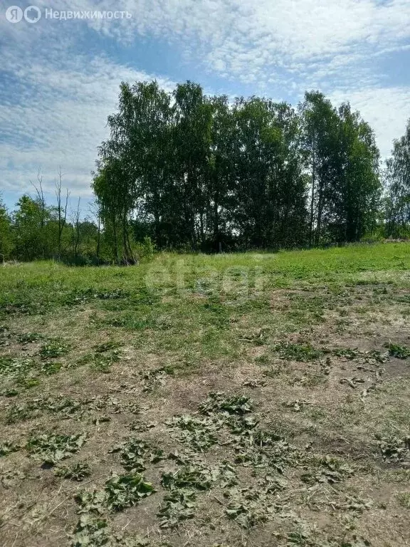 Участок в Свердловская область, Ирбитское муниципальное образование, ... - Фото 1