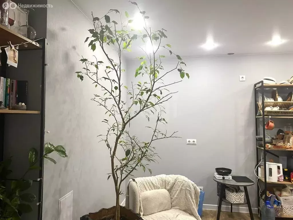 2-комнатная квартира: Киров, Современная улица, 13 (50.4 м) - Фото 2