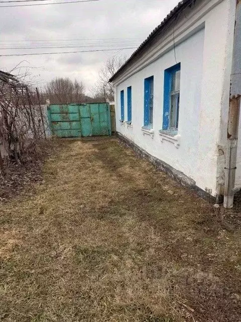 Дом в Белгородская область, Алексеевка ул. Некрасова (69 м) - Фото 2