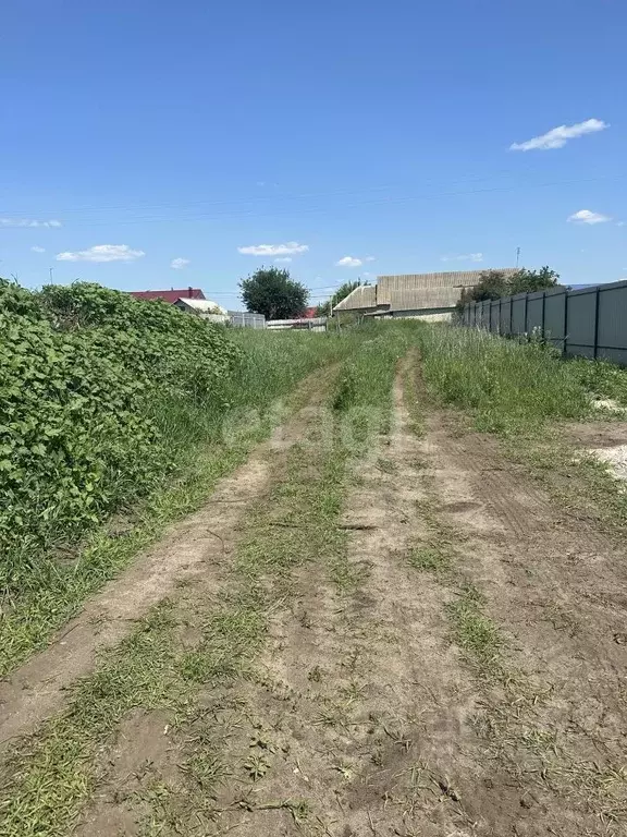 Новоживотинное Воронежская область. П. Новоживотинное. Дома в Новоживотинном Воронеж.