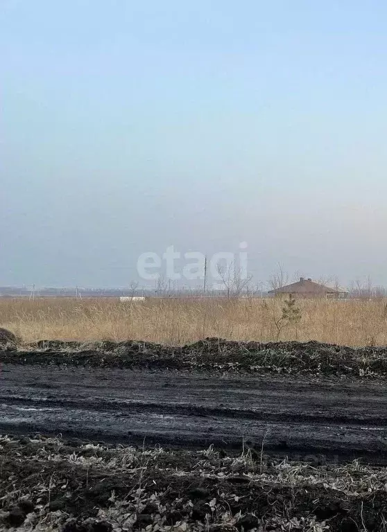 Участок в Воронежская область, с. Новая Усмань ул. Кольцова, 7 (10.0 ... - Фото 1