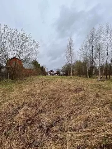 Участок в Московская область, Богородский городской округ, д. Кашино  ... - Фото 2