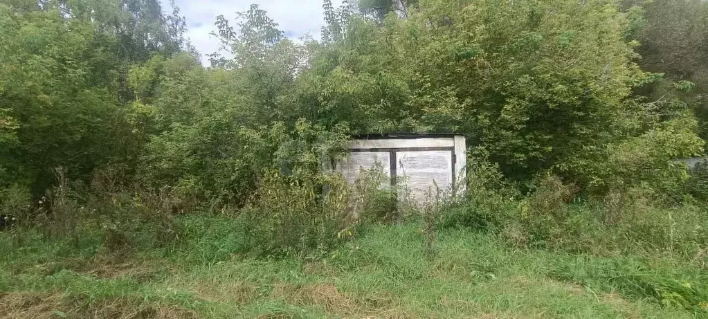 Участок в Липецкая область, Задонский район, Бутырский сельсовет, д. ... - Фото 2