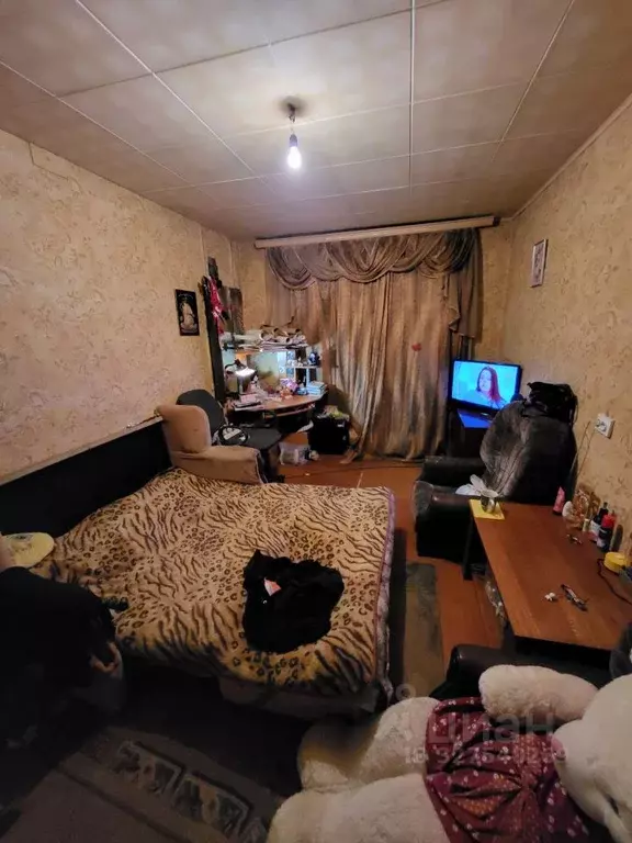 3-к кв. Псковская область, Псков Инженерная ул., 68 (60.0 м) - Фото 2