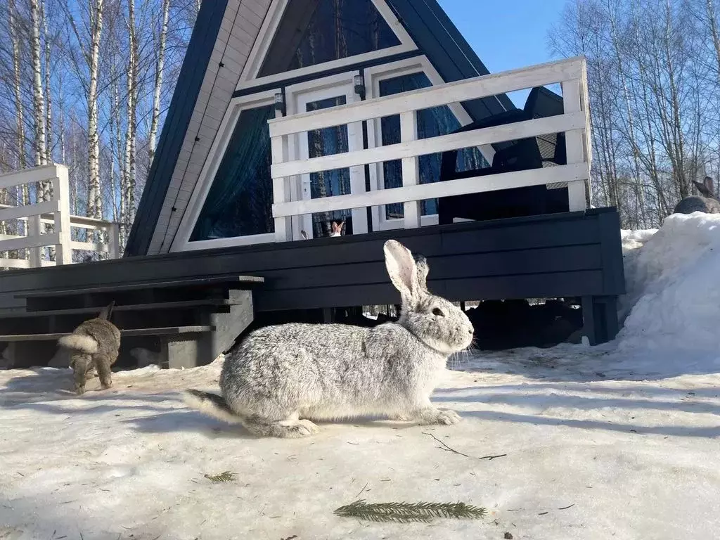 Дом в Смоленская область, Смоленский муниципальный округ, д. Заборье ... - Фото 1