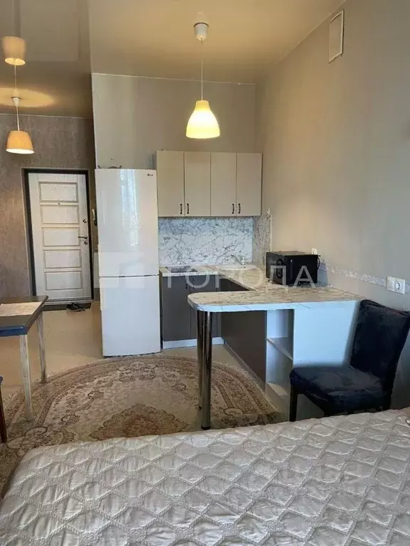 Студия Новосибирская область, Новосибирск ул. Сибревкома, 9 (32.0 м) - Фото 0