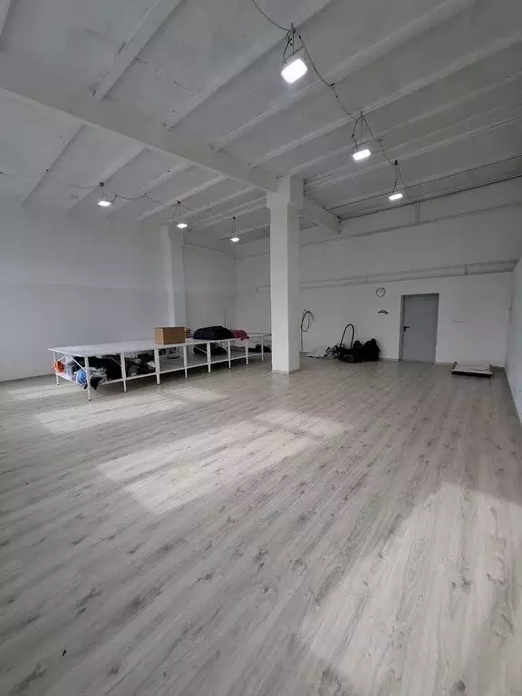 Помещение свободного назначения в Новосибирская область, Новосибирск ... - Фото 1