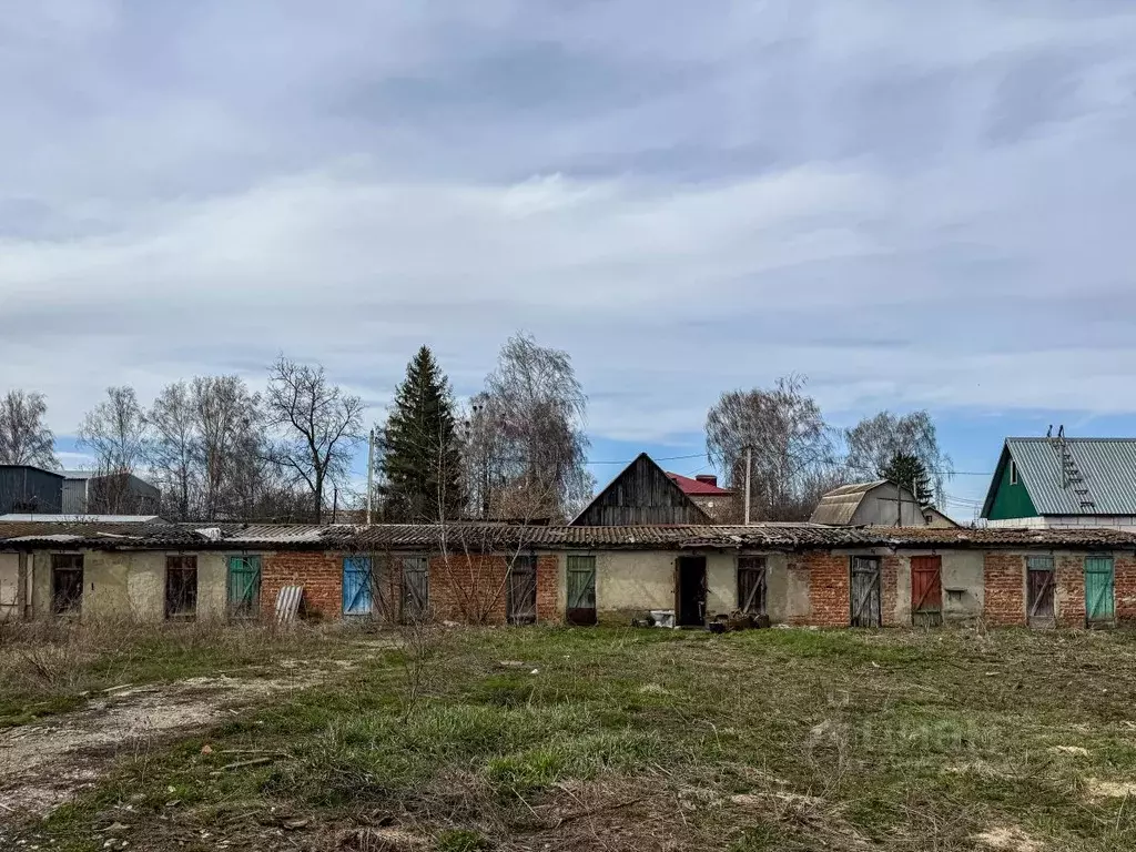 Помещение свободного назначения в Орловская область, Кромы пгт ул. К. ... - Фото 1