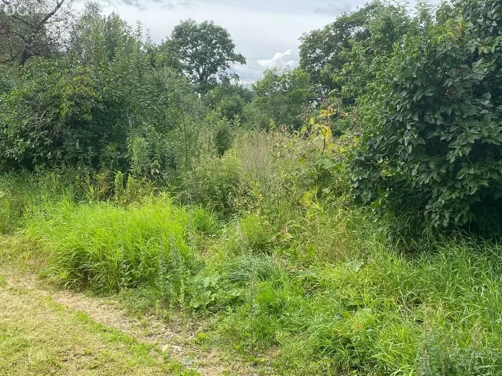 Участок в Гатчина, Новопролетарская улица (25 м) - Фото 2