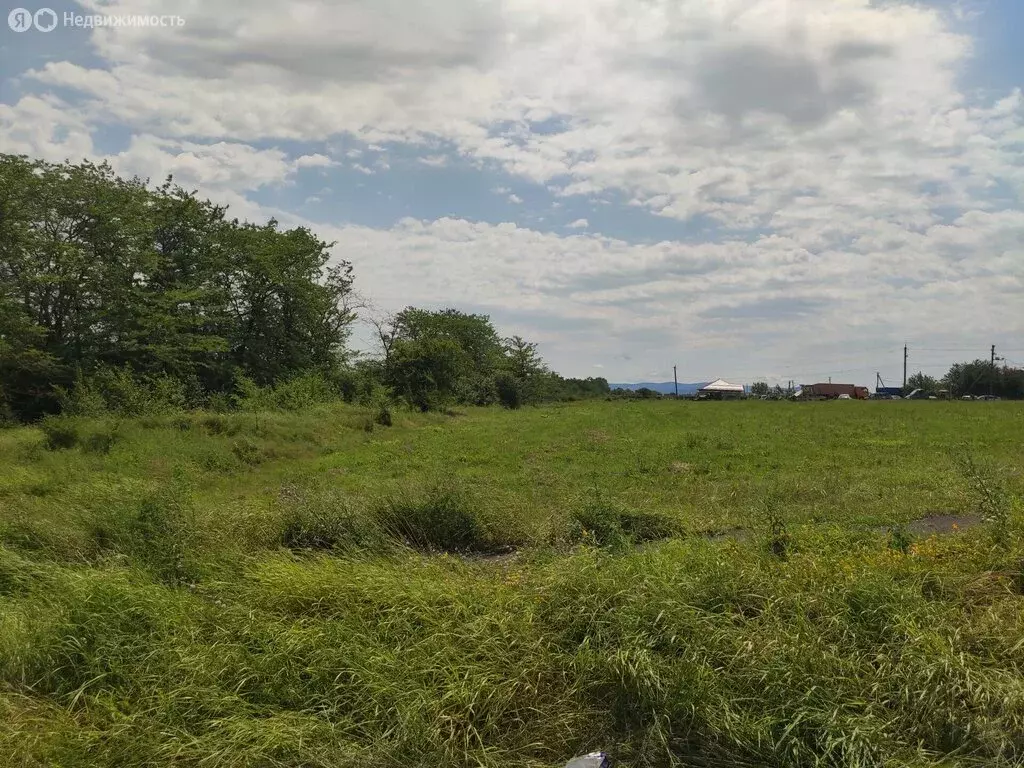 Участок в Абинск, улица Чкалова (3.5 м) - Фото 1