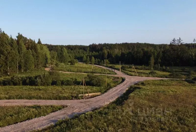 Участок в Ленинградская область, Приозерский район, Раздольевское ... - Фото 1