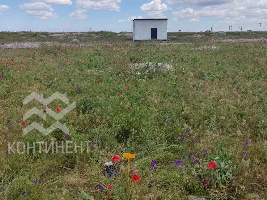 Участок в Крым, Сакский район, Молочненское с/пос, с. Витино ул. ... - Фото 1