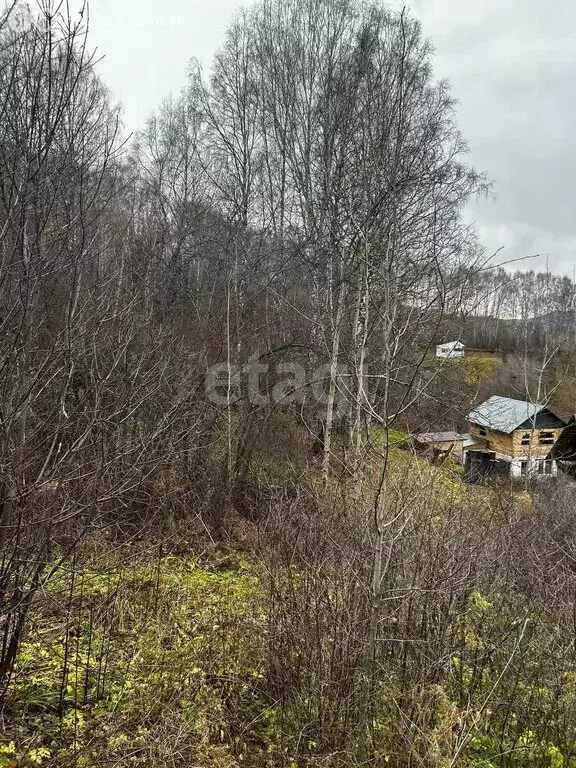 Участок в Горно-Алтайск, СНТ Электрик (7.5 м) - Фото 1