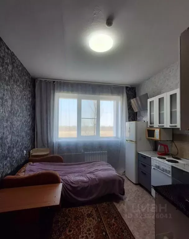 Студия Приморский край, Октябрьский муниципальный округ, с. Покровка ... - Фото 1