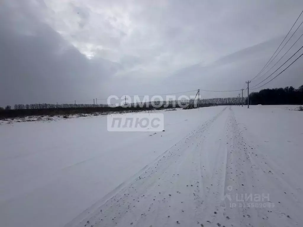 Участок в Рязанская область, Рязанский район, Вышгородское с/пос, ... - Фото 1