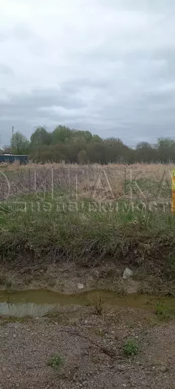 Участок в Приозерский район, Красноозёрное сельское поселение, деревня ... - Фото 1