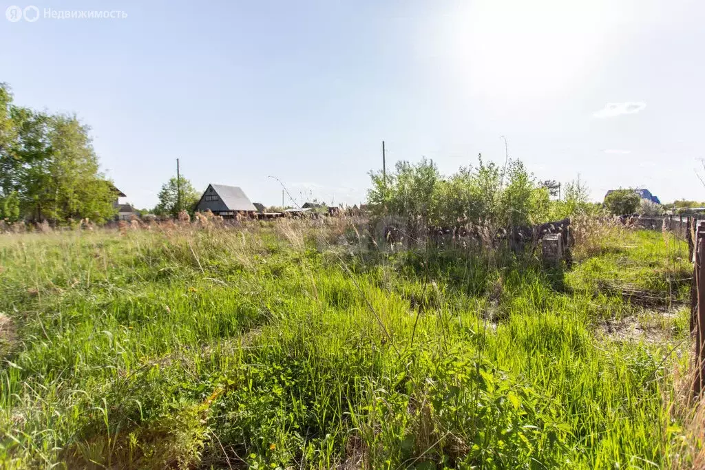 Участок в Башковское сельское поселение, садоводческое товарищество ... - Фото 1