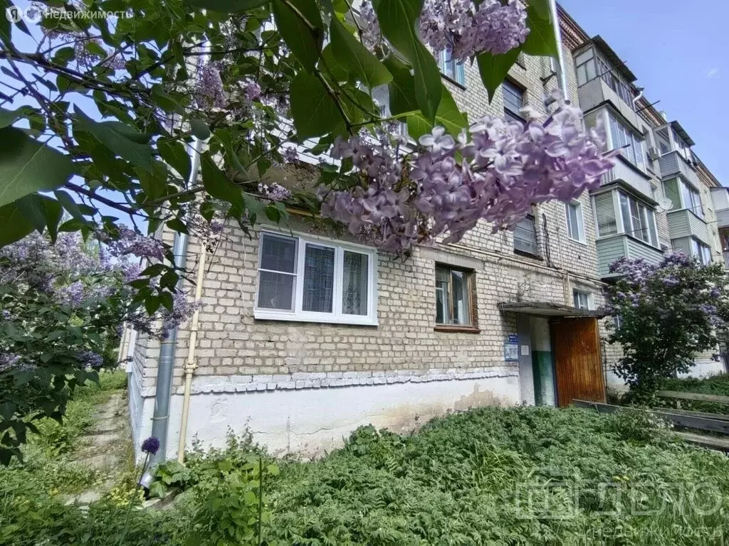 1-комнатная квартира: село Подвязье, Садовая улица, 7 (31 м) - Фото 0
