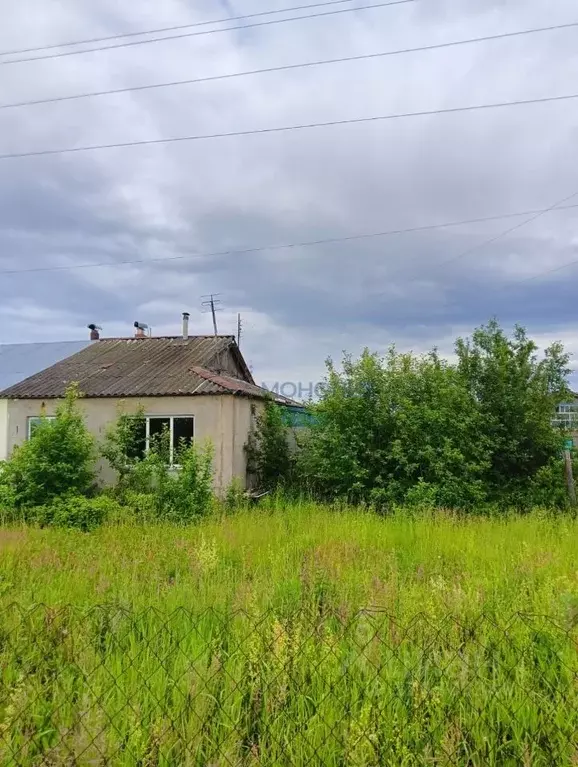 3-к кв. Нижегородская область, Шатковский муниципальный округ, с. ... - Фото 0