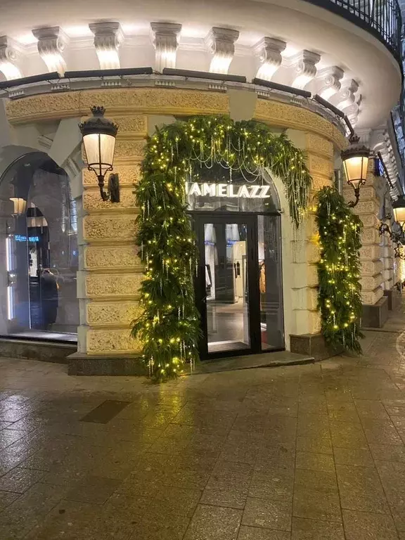 Помещение свободного назначения в Москва ул. Петровка, 20/1 (450 м) - Фото 2