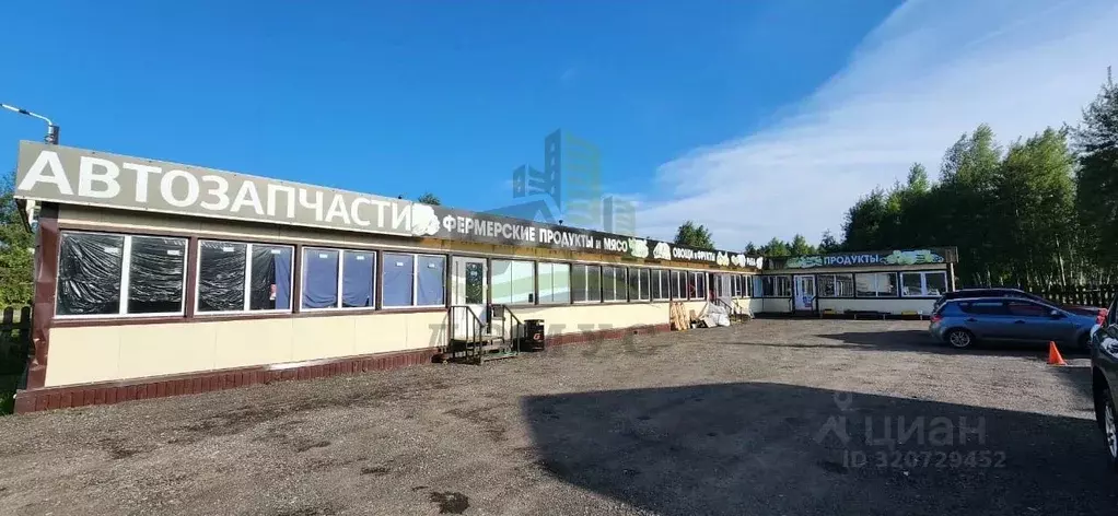 Торговая площадь в Московская область, Раменский муниципальный округ, ... - Фото 0