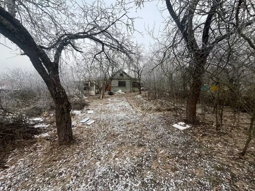 Участок в Владимирская область, Владимир Дубрава сад, 11 (5.2 сот.) - Фото 1