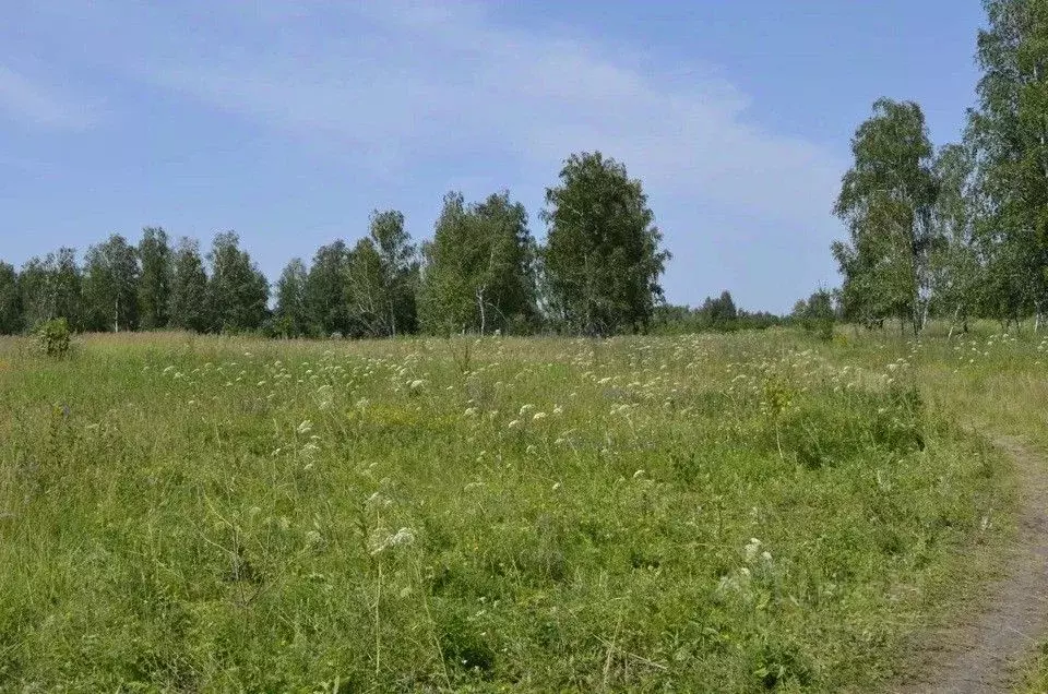Участок в Нижегородская область, Балахнинский муниципальный округ, ... - Фото 0