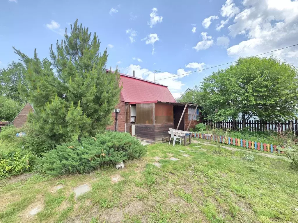 Дом в Новосибирская область, Колыванский район, Надежда СТ  (49 м) - Фото 1