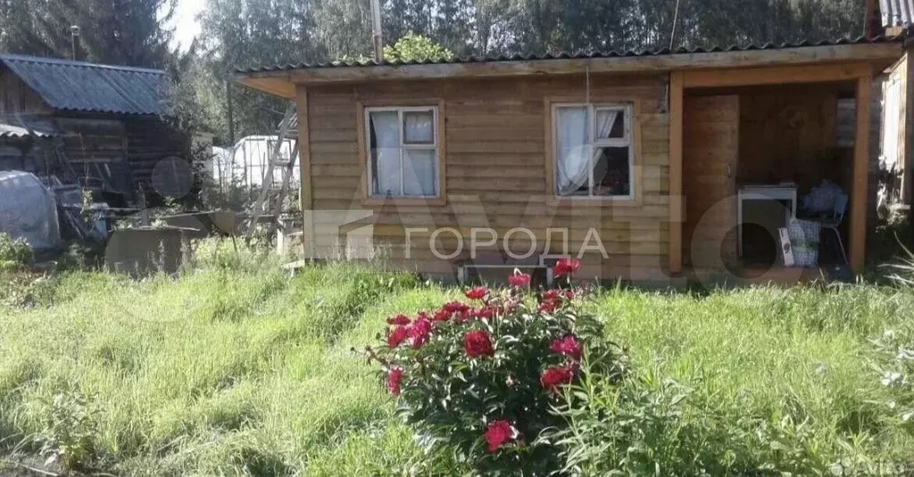 Участок 3,2 сот. (СНТ, ДНП) - Фото 1