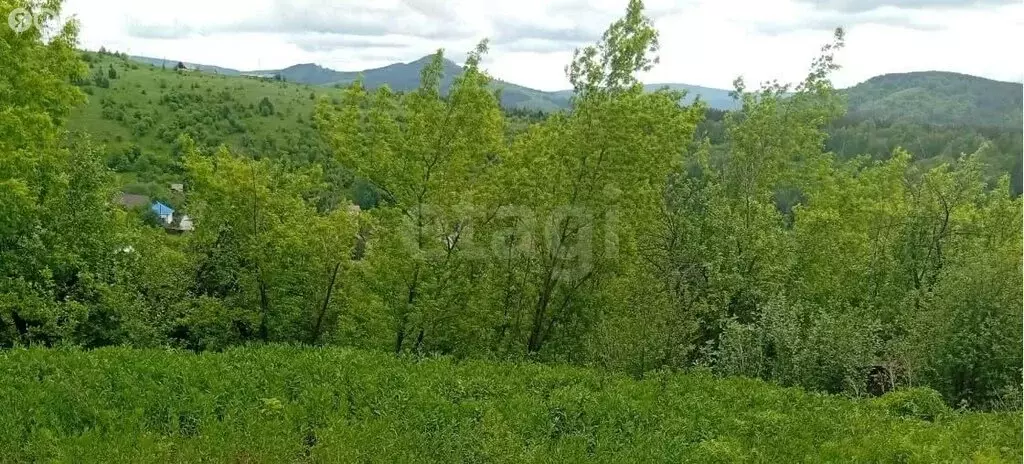 Участок в село Кызыл-Озек, Ануйская улица (12.17 м) - Фото 0