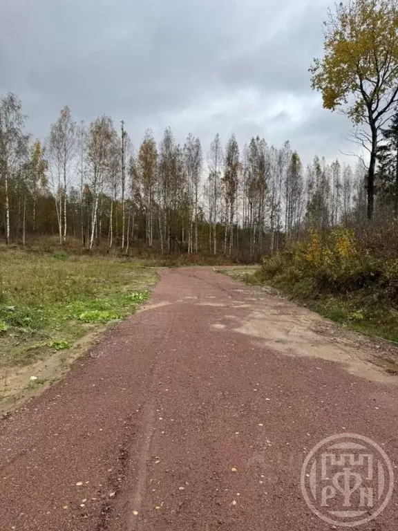 Участок в Ленинградская область, Всеволожский район, Колтушское ... - Фото 1