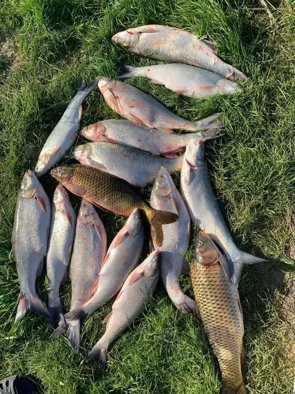 Дом в Астраханская область, Камызяк ул. Пушкина, 185А (40 м) - Фото 2