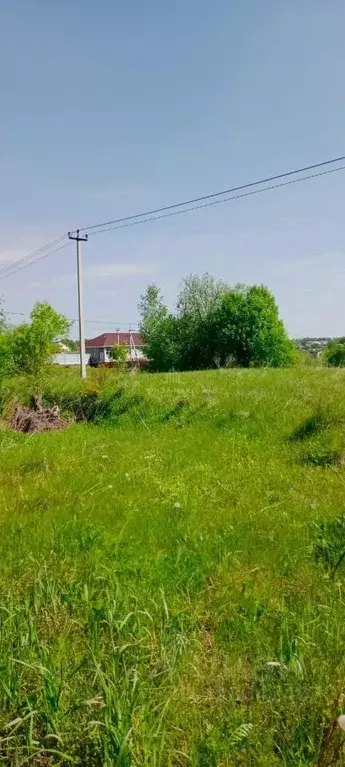 Участок в Брянская область, Брянский район, Добрунское с/пос, с. ... - Фото 1