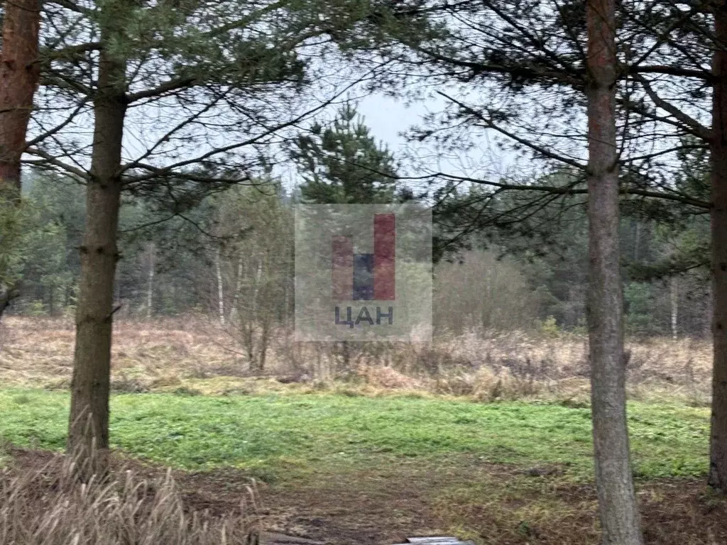 Участок в Московская область, Раменский муниципальный округ, с. ... - Фото 1