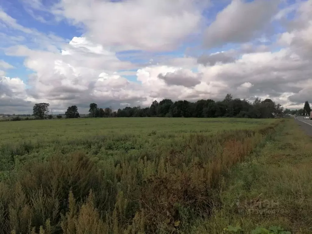 Участок в Ленинградская область, Лужский район, Заклинское с/пос, д. ... - Фото 2