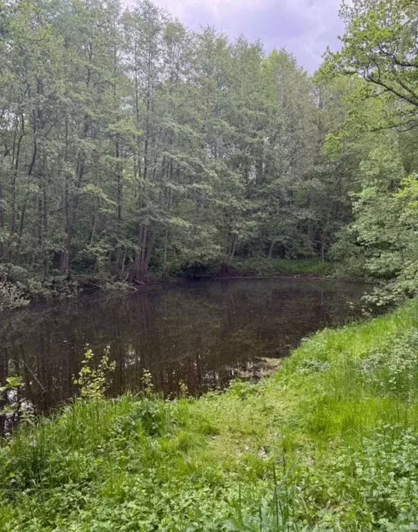 Участок в Калининградская область, Гурьевский муниципальный округ, ... - Фото 2