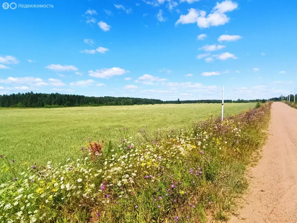 Участок в Ленинское сельское поселение, деревня Сунцовы (500 м) - Фото 1
