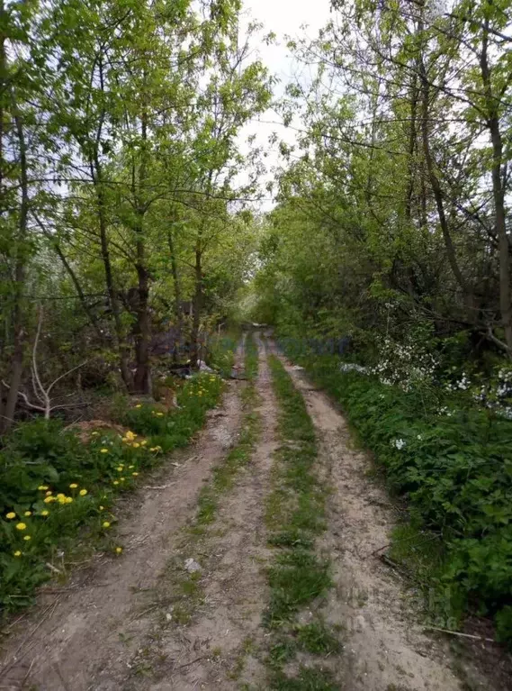 Участок в Нижегородская область, Нижний Новгород ул. Ларина (10.0 ... - Фото 0