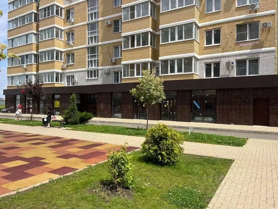 Помещение свободного назначения в Краснодарский край, Краснодар ул. ... - Фото 1