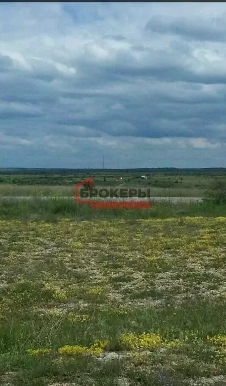 Участок в Крым, Бахчисарайский район, Каштановское с/пос, Крымские ... - Фото 2