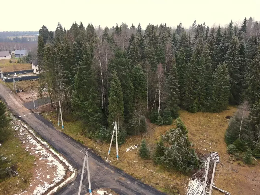 Участок в Московская область, Дмитровский муниципальный округ, пос. ... - Фото 1