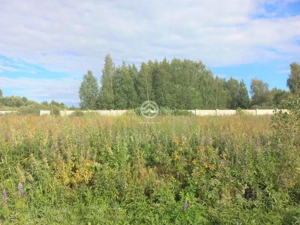Участок в Московская область, Клин городской округ, Причал кп ул. ... - Фото 1