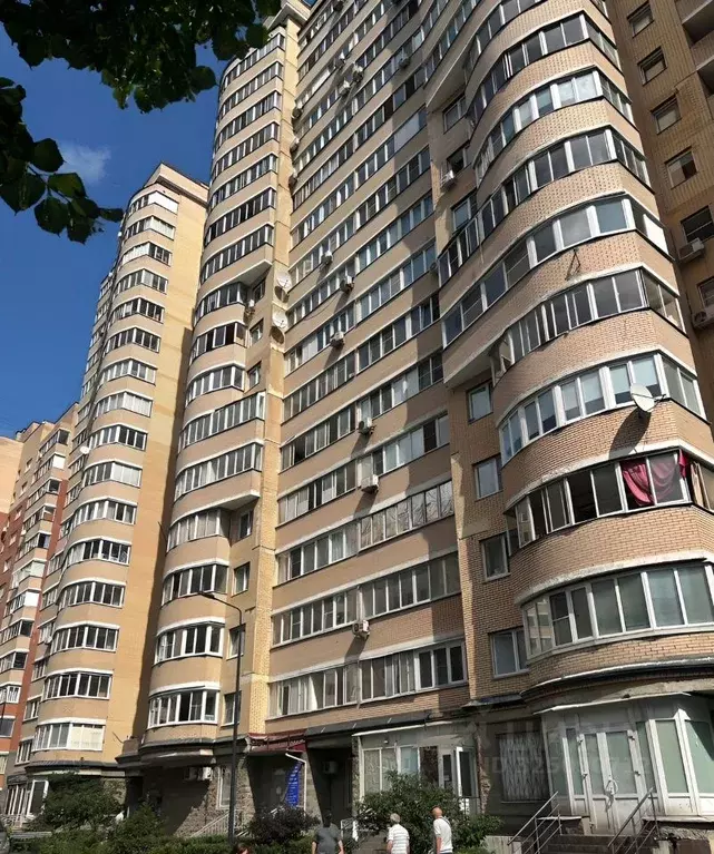 1-к кв. Московская область, Котельники проезд 2-й Покровский, 12 (30.0 ... - Фото 1