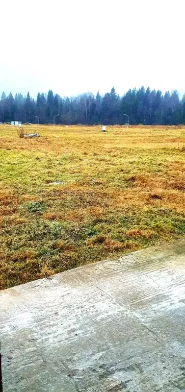 Участок в Московская область, Истра муниципальный округ, с. Ивановское ... - Фото 2