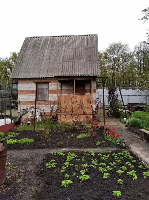 Дом в Воронеж, СНТ Горняк (35 м) - Фото 2